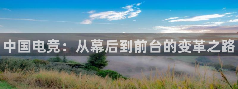 小艾电竞官方网站：中国电竞：从幕后到前台的变革之路