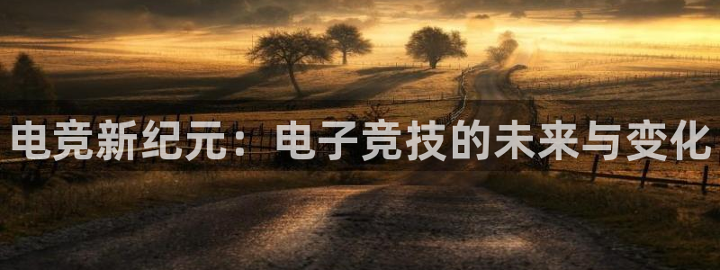 小艾电竞集团：电竞新纪元：电子竞技的未来与变化