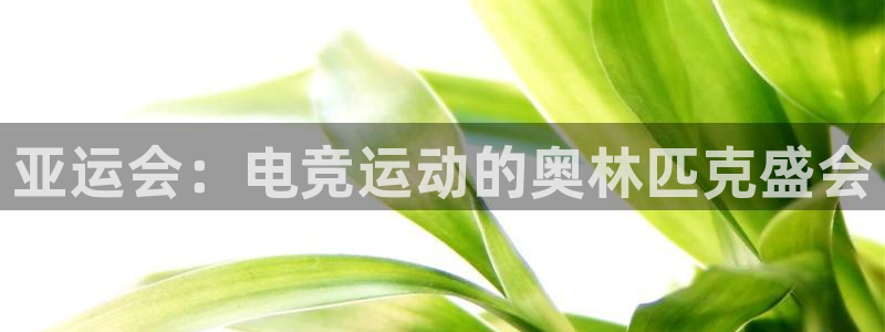 小艾电竞现在叫什么：亚运会：电竞运动的奥林匹克盛会