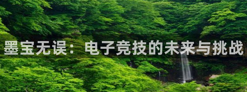 小艾电竞竞猜官网：墨宝无误：电子竞技的未来与挑战