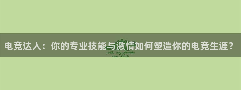 小艾电竞im电竞：电竞达人：你的专业技能与激情如何塑造你的电竞生涯？