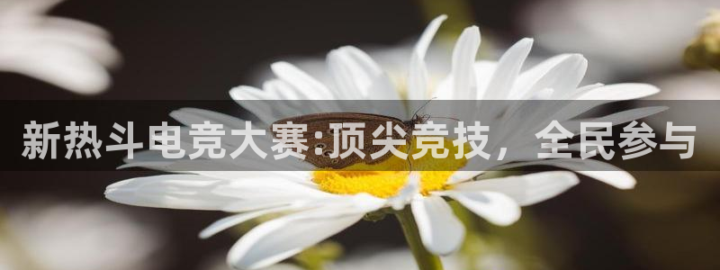 小艾电竞官网：新热斗电竞大赛:顶尖竞技，全民参与