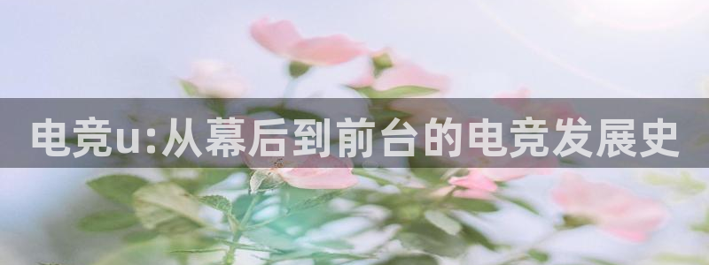 小艾电竞亚洲官网：电竞u:从幕后到前台的电竞发展史