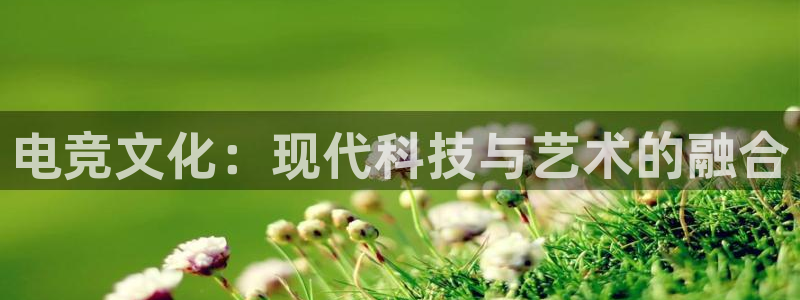 小艾电竞平台：电竞文化：现代科技与艺术的融合