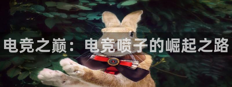 小艾电竞平台：电竞之巅：电竞喷子的崛起之路