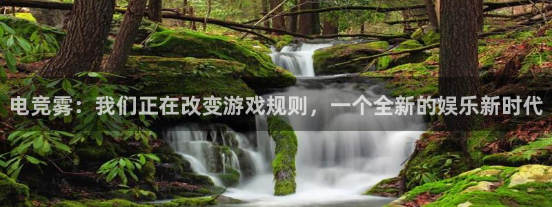 小艾电竞平台官网入口：电竞雾：我们正在改变游戏规则，一个全新的娱乐新时代