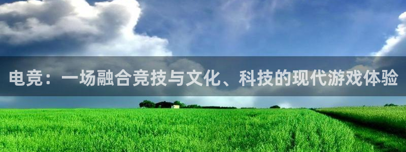小艾电竞集团：电竞：一场融合竞技与文化、科技的现代游戏体验